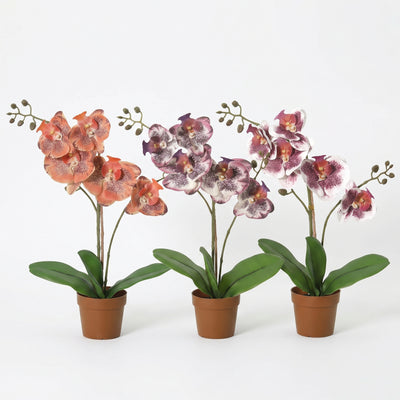 Orchideeën Boeket | Kunstbloemen Mix (bundle hero)