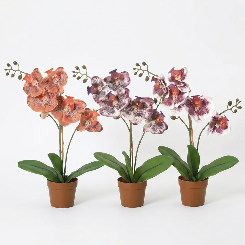 





Orchideen-Strauß | Kunstblumen-Mix - Premium kunstplant van Florafy
