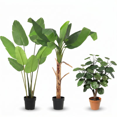 Woonkamer Oase | Tropische Kunstplanten Set (bundle hero)