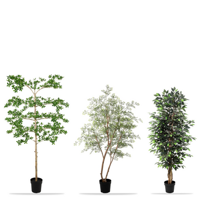 Vergaderzaal Complete | Zakelijke Kunstplanten Set XL