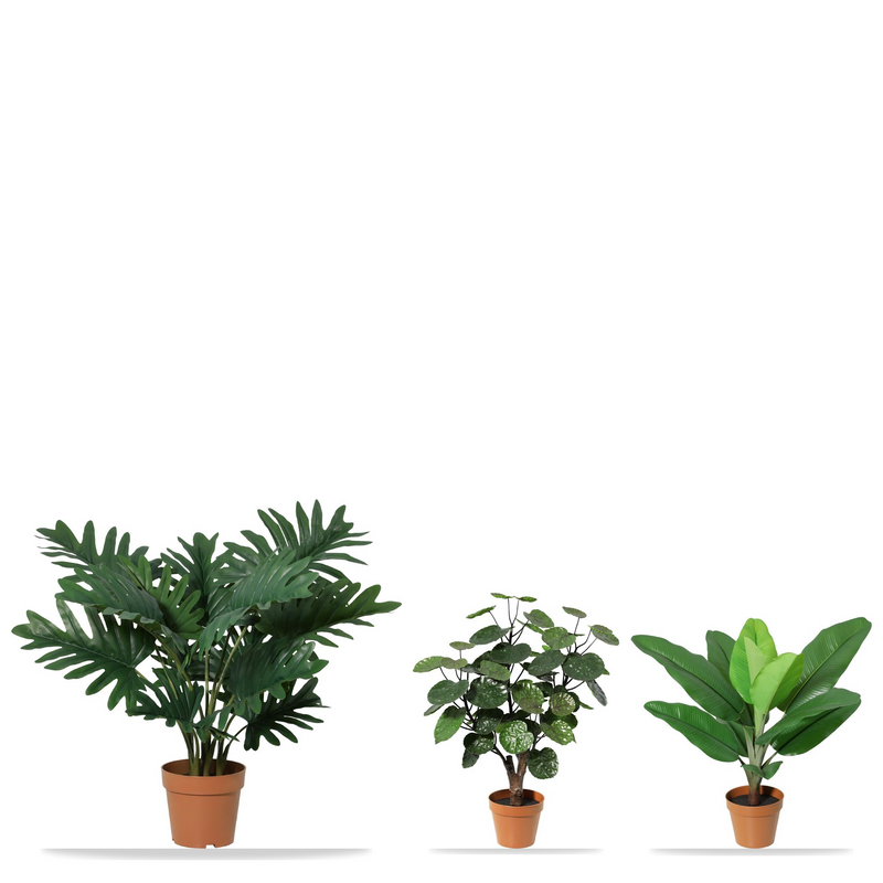 





Starter Trio | Tu Primer Conjunto de Plantas Artificiales - Lifestyle foto kunstplant in interieur
