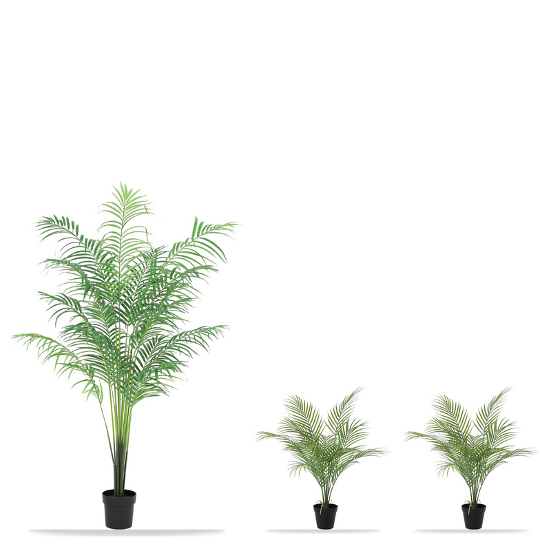 





Kentia Palmsamling | Konstgjorda Palmer Paket - Afbeelding 4
