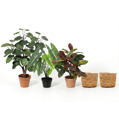 Groene Trio met Scott Mand | Set A