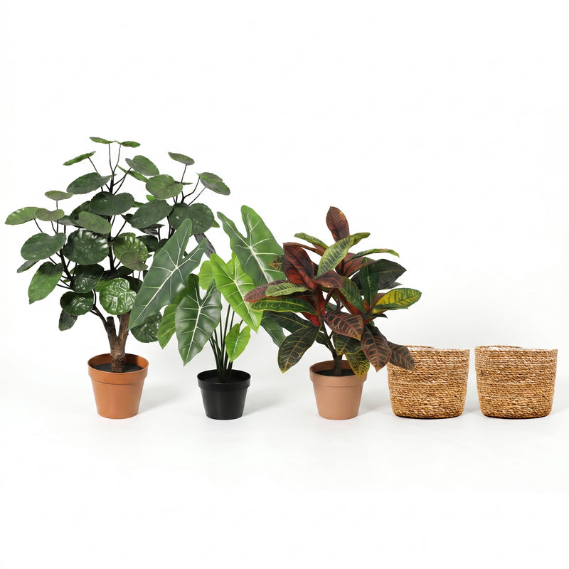 





Grönt Trio med Scott Korg | Set A - Premium kunstplant van Florafy

