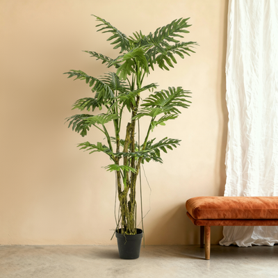 Kunstplant Philodendron | 195cm