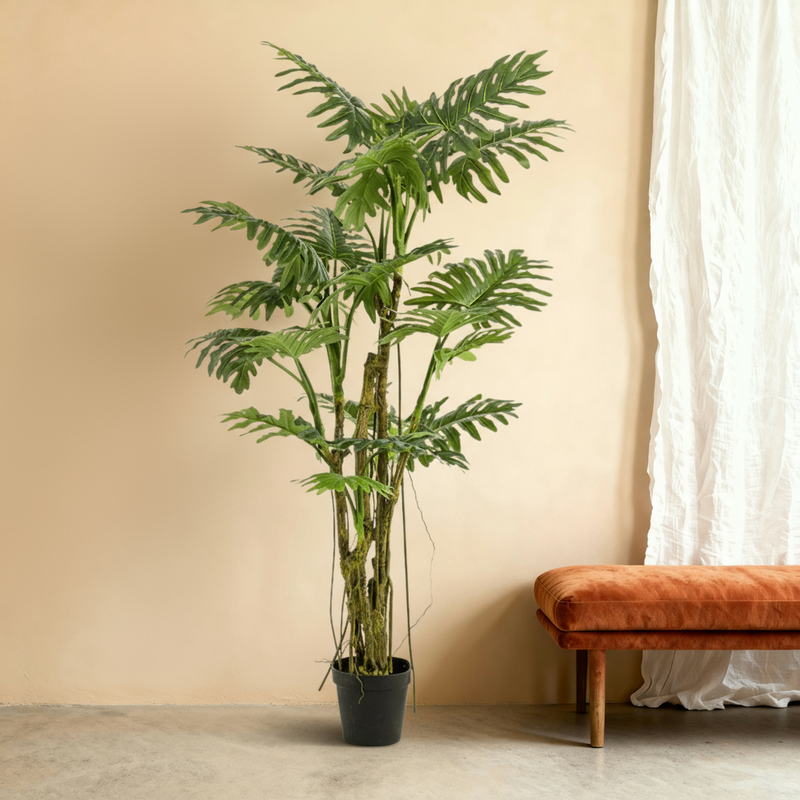 





Artificial Plant Philodendron | 195cm - Premium kunstplant van Florafy
