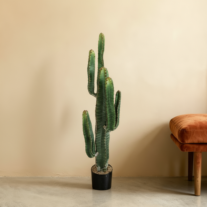 





Kunstplante Cereus | 115cm - Detail view kunstplant
