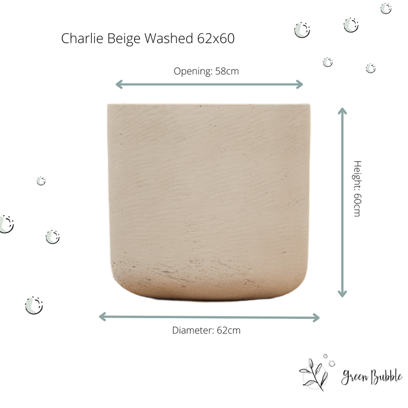 





Květináč Charlie Béžový Washed - Afbeelding 8

