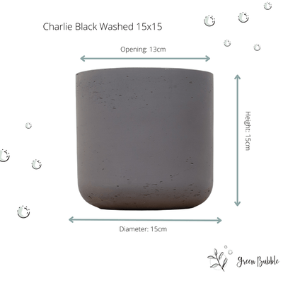 Pot Charlie Black Washed