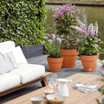 





Topf Elho Vibia Campana rund Terracotta - Afbeelding 4
 thumbnail