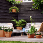 





Topf Elho Vibia Campana rund Terracotta - Afbeelding 5
 thumbnail