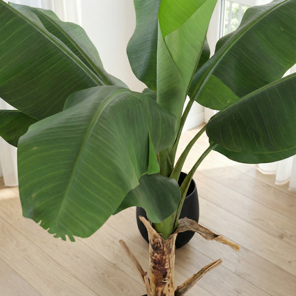 Kunstplant Bananenplant | 150cm — primo piano tronco di legno vero