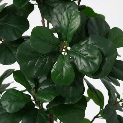 Kunstplant Ficus Lyrata Vertakt | 150cm