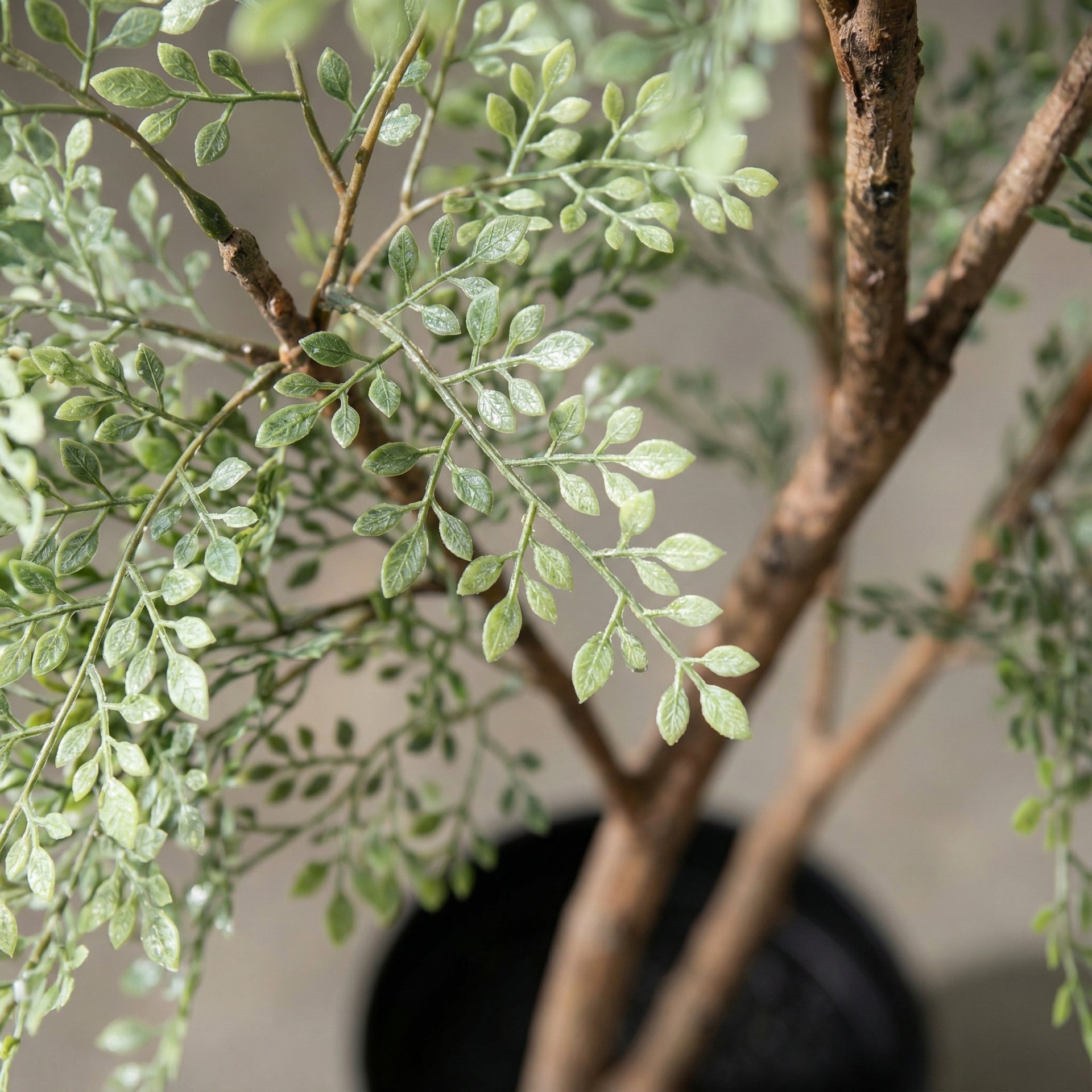 





Kunstplant Cassia | 180cm - Afbeelding 4
