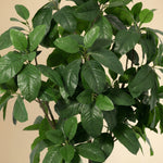 





Kunstplant Magnolia | 187cm - Detail view kunstplant
 thumbnail