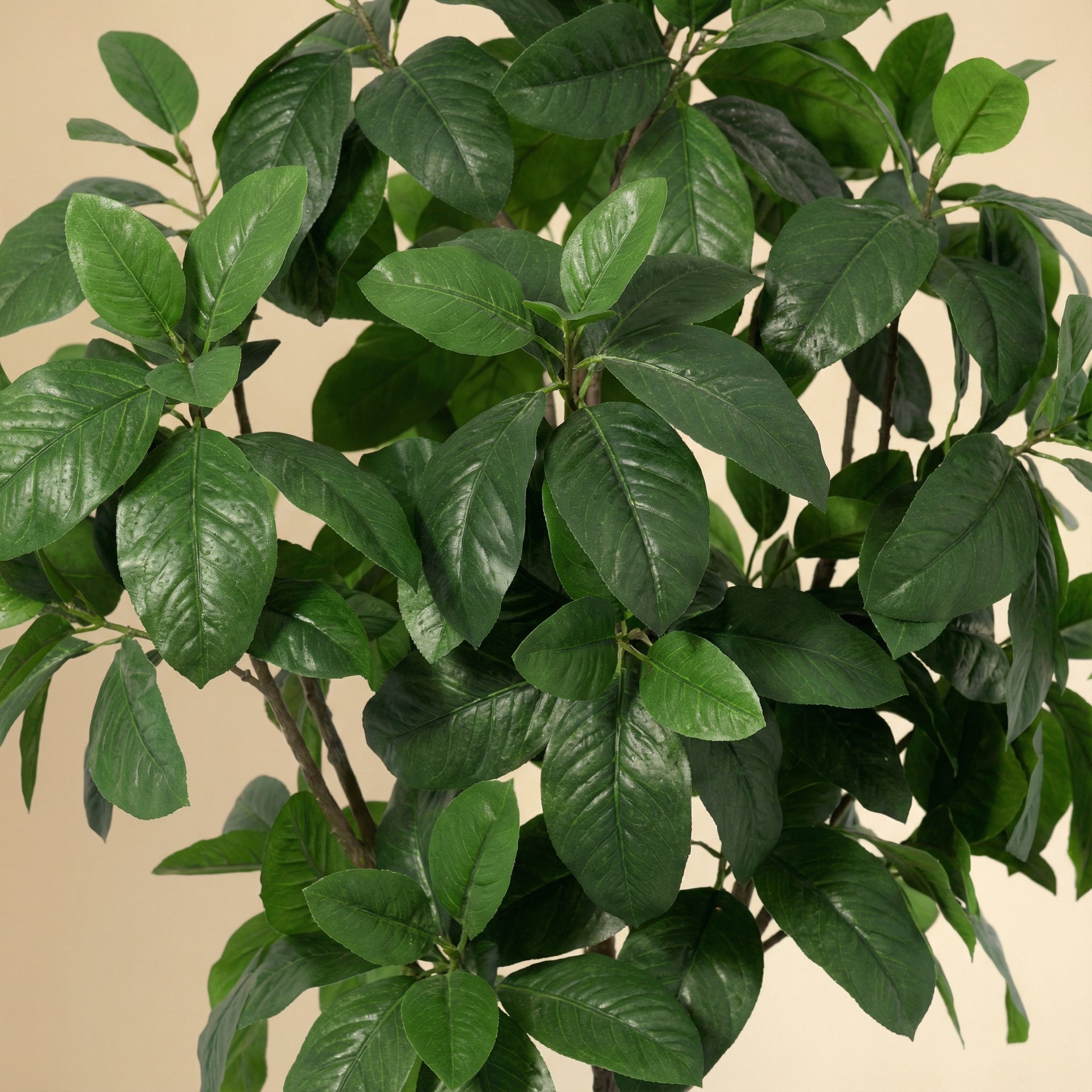 





Kunstplant Magnolia | 187cm - Afbeelding 8
