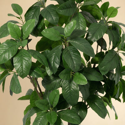 Kunstplant Magnolia | 187cm