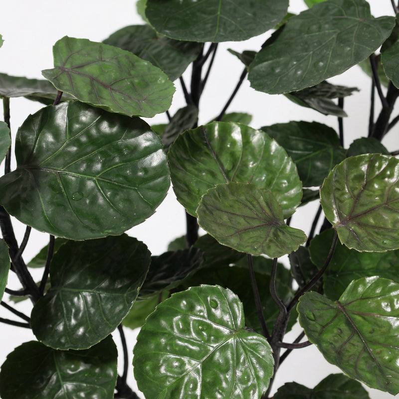 





Kunstplant Polyscias Fabian | 53cm - Detail view kunstplant
