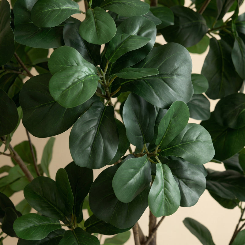 





Kunstplant Ficus Lyrata XL | 180cm - Detail view kunstplant
