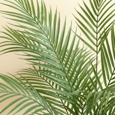 Kunstplant Kentia | 67cm
