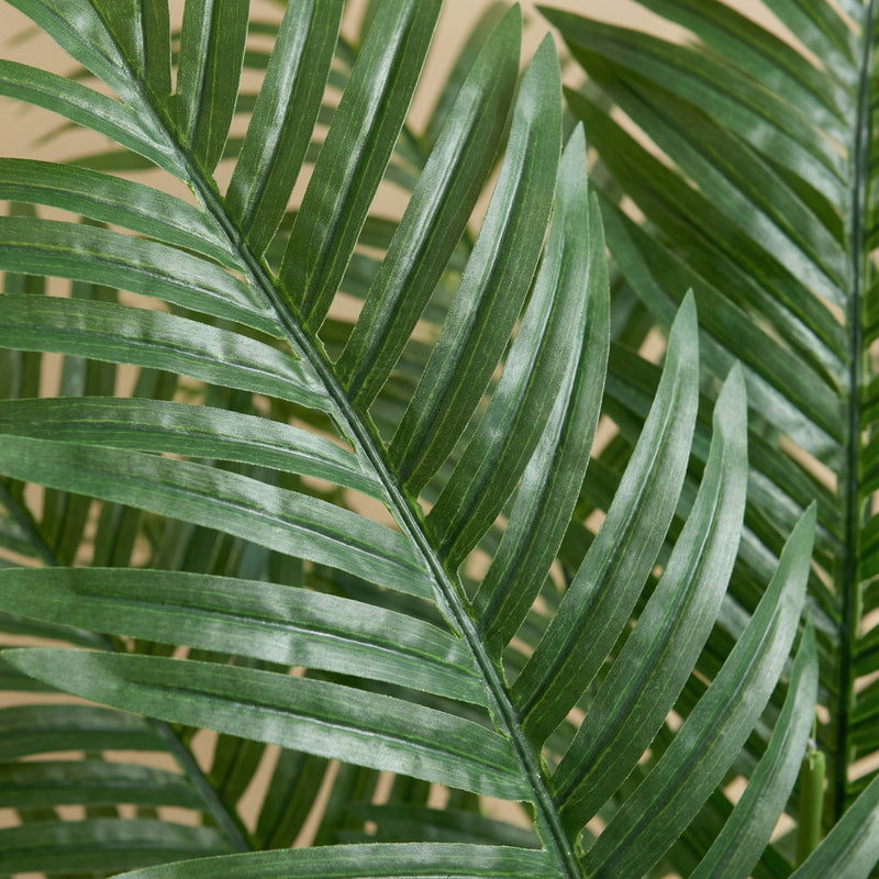 





Kunstplant Kentia Palm | 170cm - Detail view kunstplant
