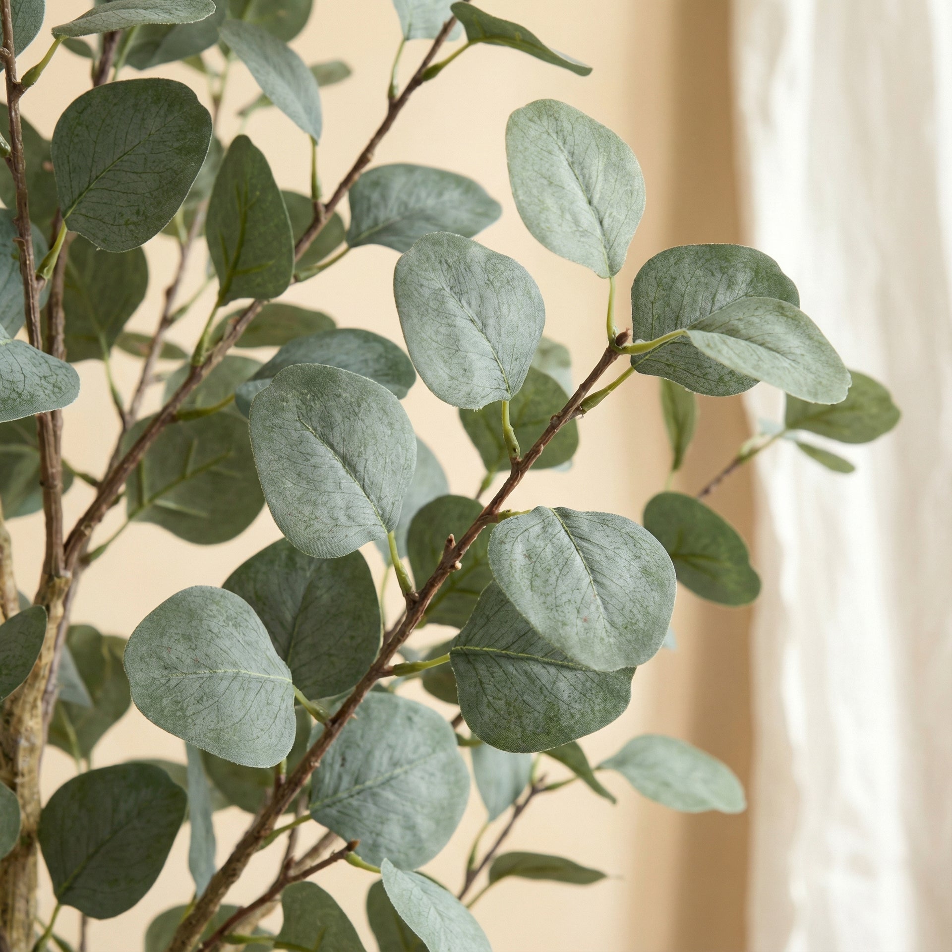 





Kunstplant Eucalyptus | 180cm - Afbeelding 9
