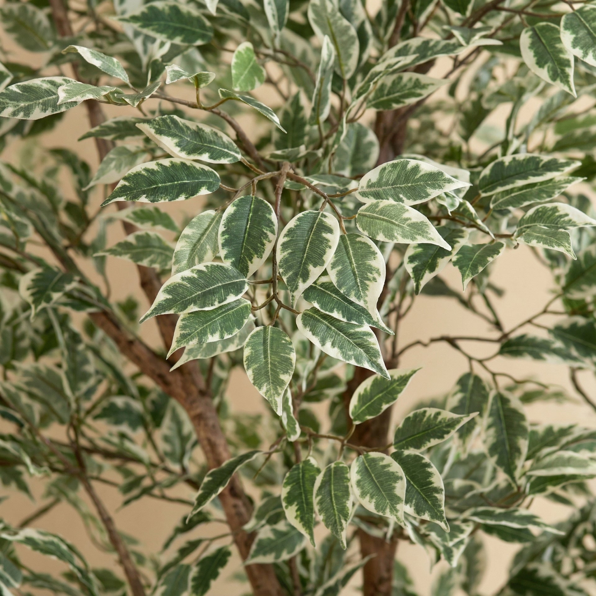 





Kunstplant Ficus Benjamina | 185cm - Afbeelding 9
