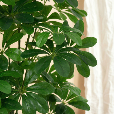 Kunst pachira 'Watercacao' - 150cm: Feng Shui favoriet