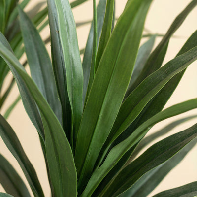 Kunst dracaena 'drakenbloedboom' - 165cm