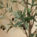 





Kunstplant Olijfboom | 172cm - Detail view kunstplant
 thumbnail