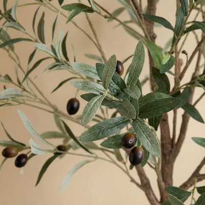 Kunst olijfboom 'olijfboom' - 172cm