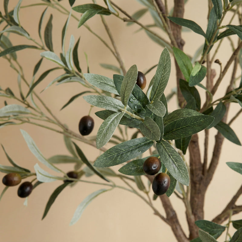 





Kunstplant Olijfboom | 172cm - Detail view kunstplant
