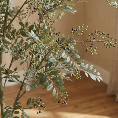 Kunstplant Bucida | 165cm