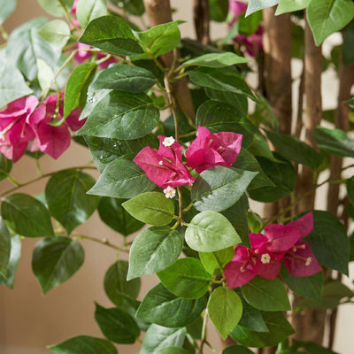 Kunstplant Bougainville | 120cm