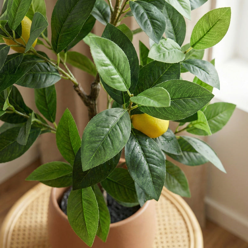 





Pianta Artificiale Limone | 65cm - Detail view kunstplant
