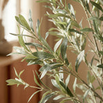 





Kunstplant Olijfboom | 169cm - Detail view kunstplant
 thumbnail