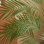 





Kunstplant Areca | 122cm - Detail view kunstplant
 thumbnail