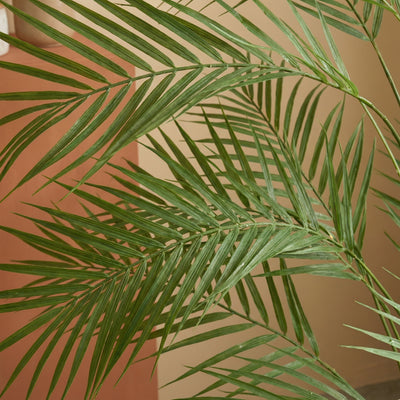 AIVORIUY Kunstmatige Areca Palmplant Nep Tropische Boom Perfecte Kunstplanten in Pot voor Binnen Buiten Huis Thuiskantoor Bruiloft Tuin Moderne Decoratie Housewarming Gift (80 cm Hoge Palm AIVORIUY Kunstmatige Areca Palmplant Nep Tropische Boom Perfecte Kunstplanten in Pot voor Binnen Buiten Huis Thuiskantoor Bruiloft Tuin Moderne Decoratie Housewarming Gift (80 cm Hoge Palm