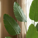 





Pianta Artificiale Strelitzia | 170cm - Detail view kunstplant
 thumbnail