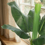 





Pianta Artificiale Bananenplant | 80cm - Detail view kunstplant
 thumbnail