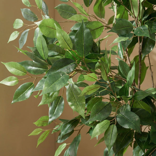 Kunstplant Ficus Benjamina | 128cm — close-up echte stam