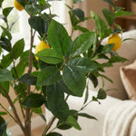 





Kunstplant Citroenboom | 150cm - Detail view kunstplant
 thumbnail