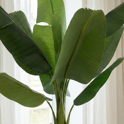 Kunstplant Bananenplant | 190cm