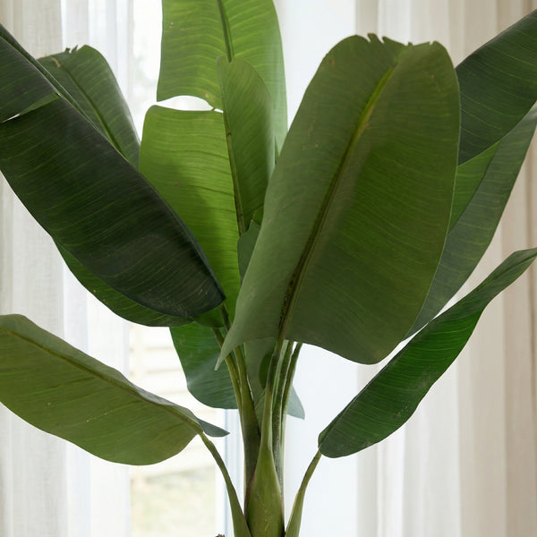 Kunstplant Bananenplant | 190cm — close-up echte stam