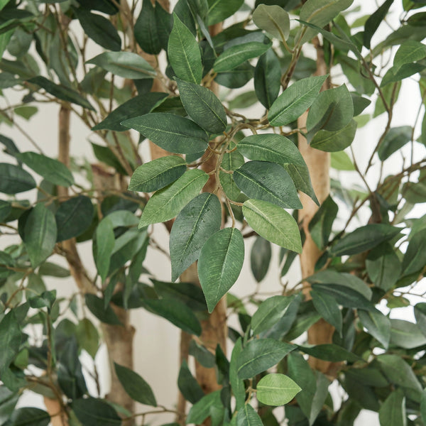 Kunstplant Ficus Exotica | 150cm — primo piano tronco di legno vero