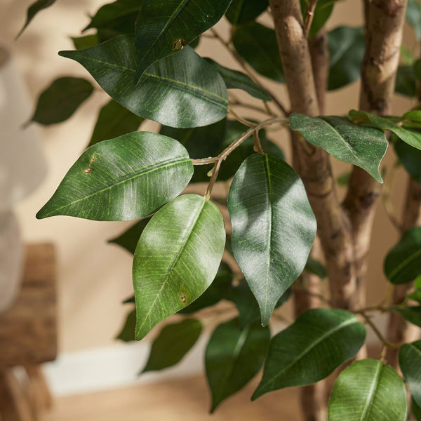 Kunstplant Ficus Benjamina | 150cm — close-up echte stam