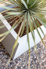 





Pot Grigio Cube Antique White - Lifestyle foto kunstplant in interieur
 thumbnail