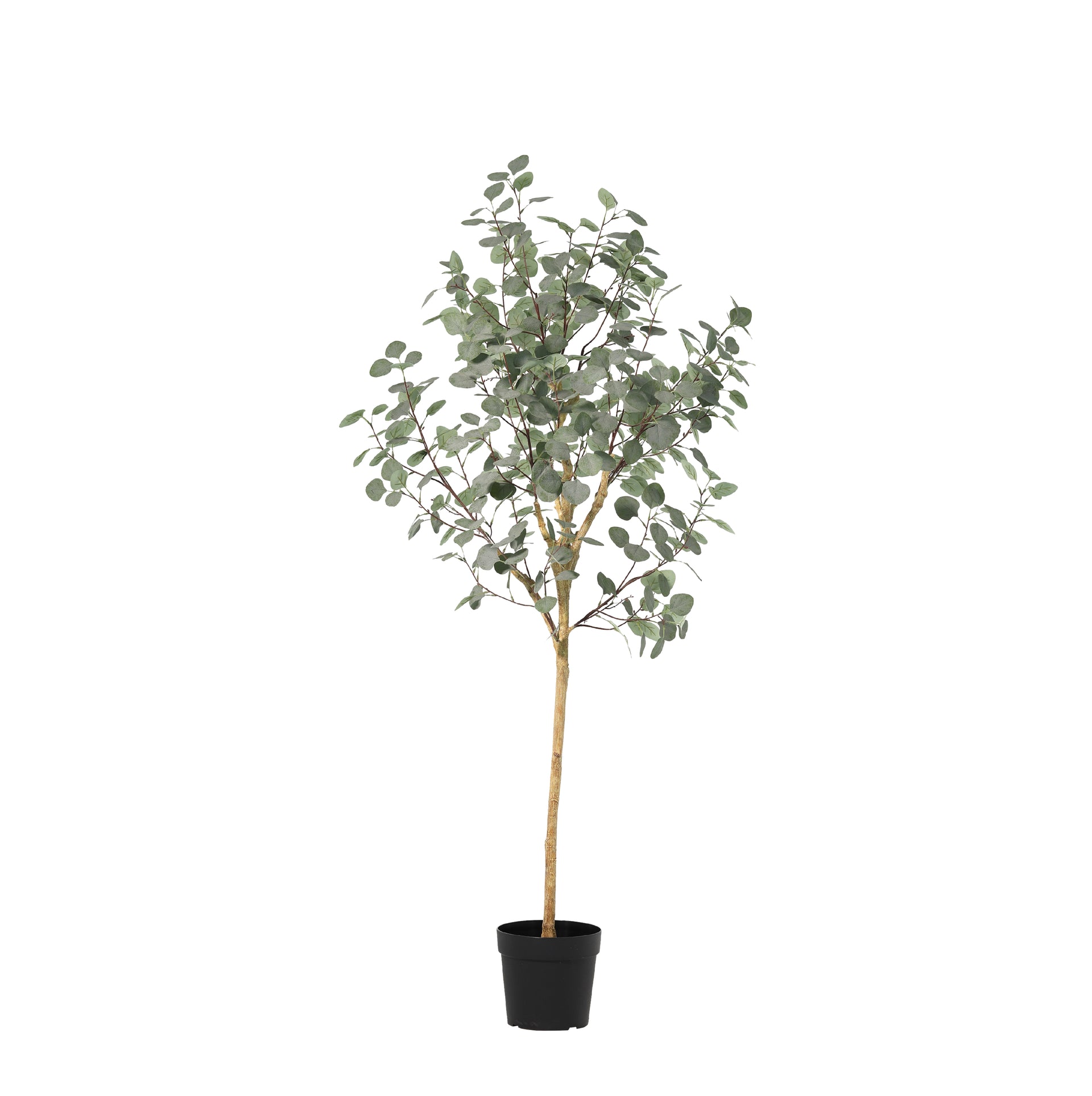 





Kunstplant Eucalyptus | 180cm - Detail view kunstplant
