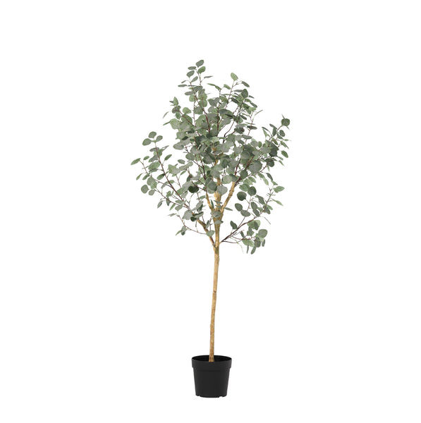 Kunstplant Eucalyptus | 180cm