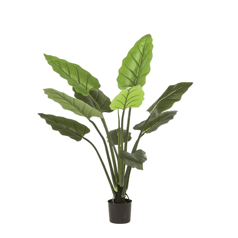 





Pianta Artificiale Philodendron Sweetheart | 120cm - Detail view kunstplant
